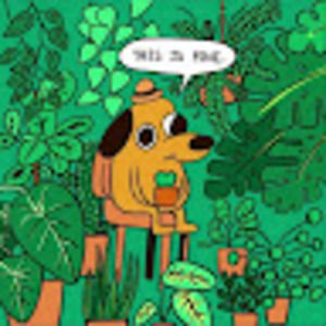 Meet your Posher, Aya